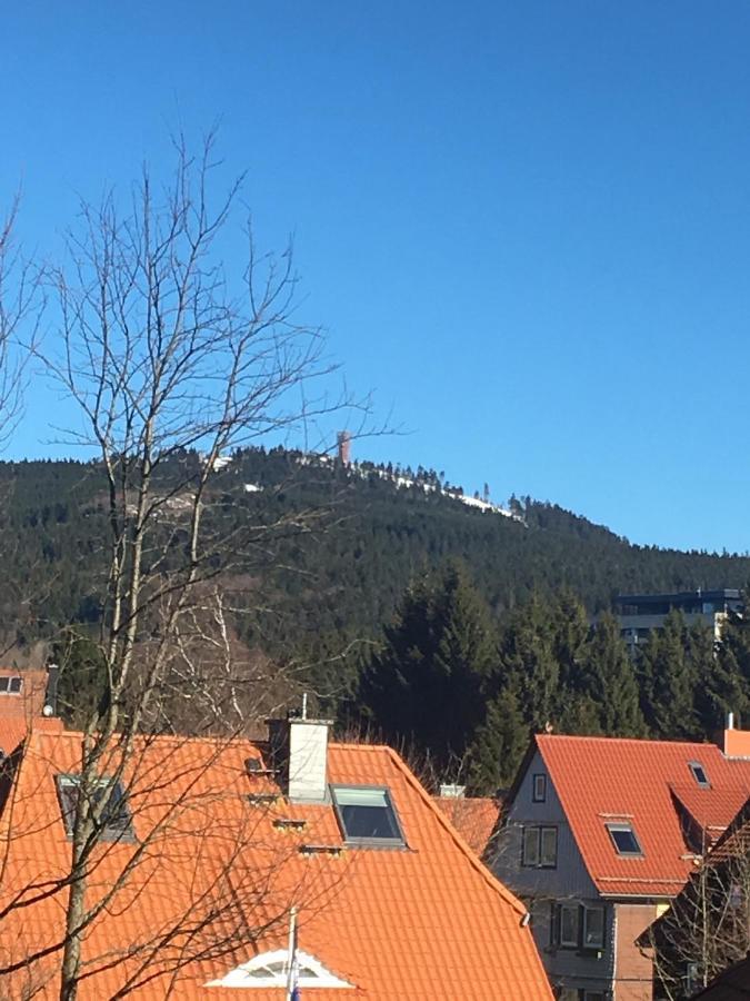 Luxurioese 3-Zi. Ferienwohnung Jagdromantik 200 M Bis Zur Wurmbergsseilbahn Braunlage Exterior photo
